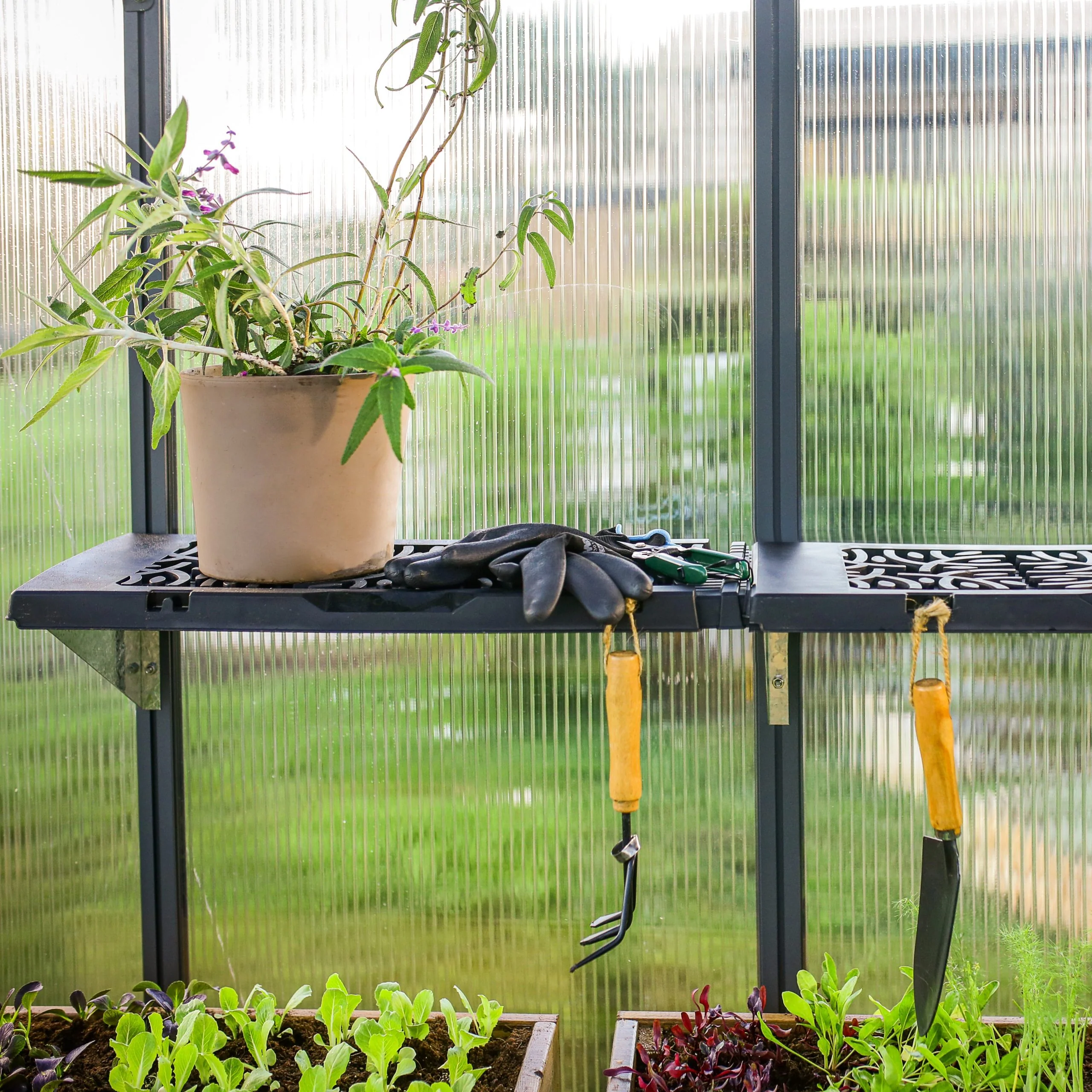 Maze Greenhouse Accessory - Signature Twin Shelf Kit - Image 4