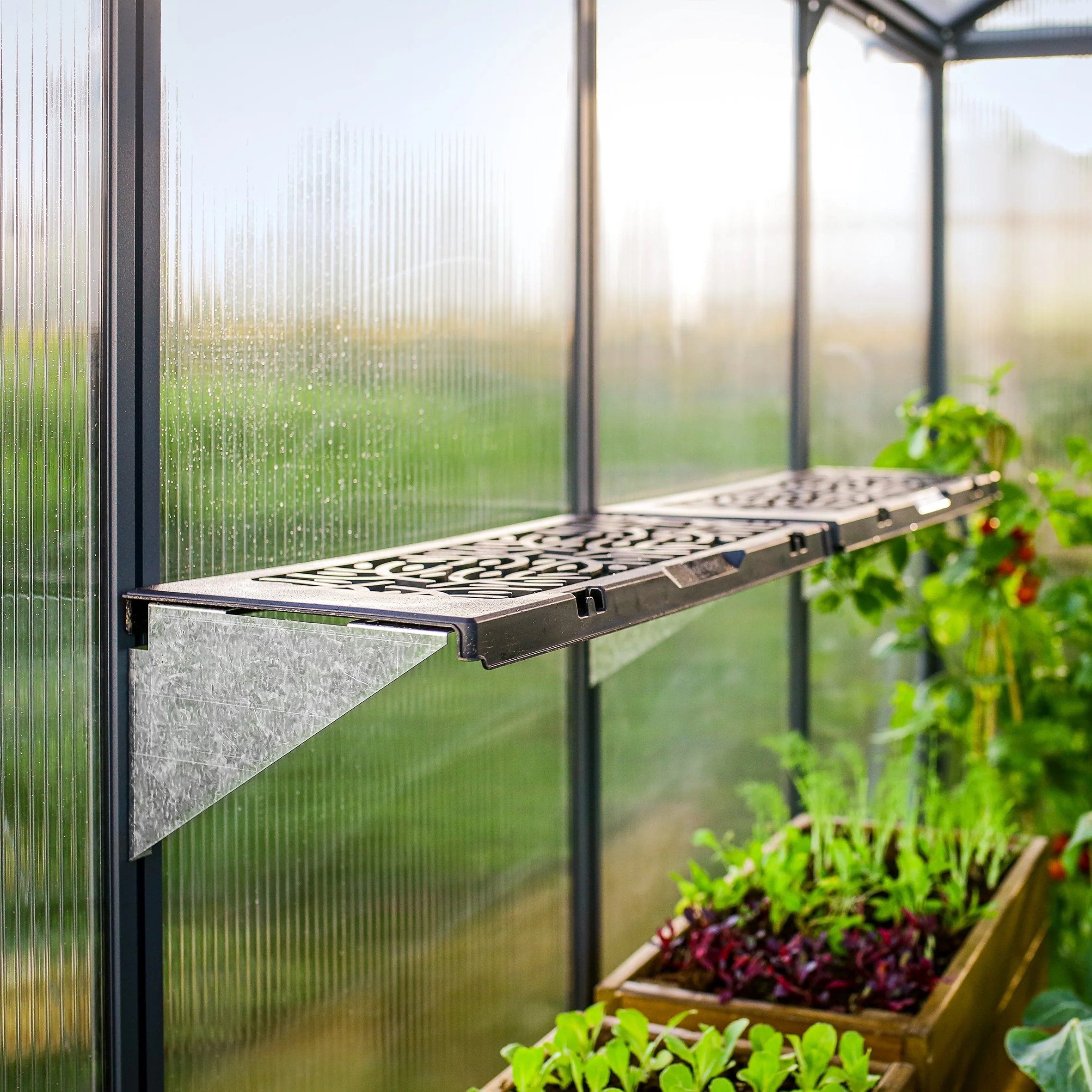 Maze Greenhouse Accessory - Signature Twin Shelf Kit - Image 6