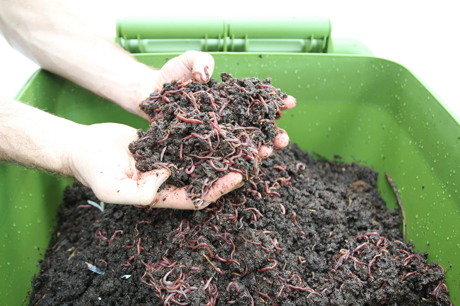 Maze Hungry Bin Worm Farm Flow Green Composting System - Image 7
