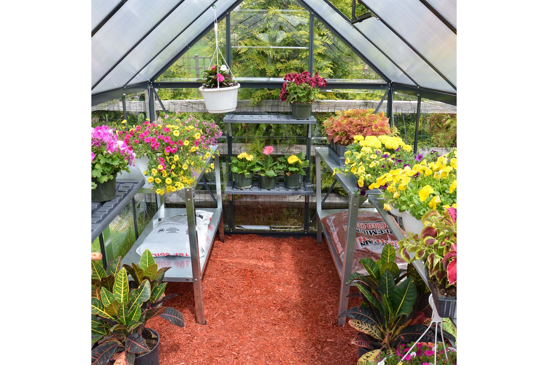 Maze Hybrid Premium Polycarbonate Greenhouse 6' x 8' - Grey Powdercoat - Image 3