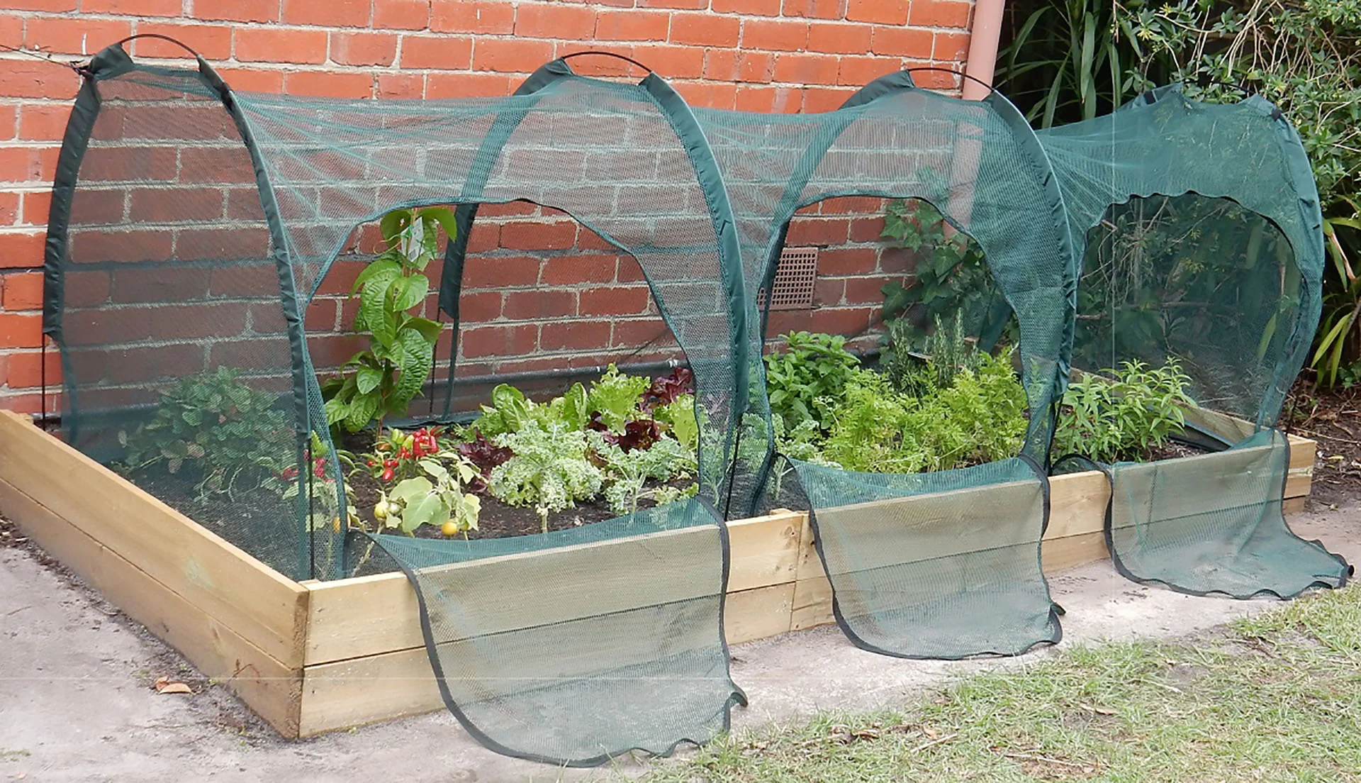 Maze Net Garden Tunnel - 3000L x 1000W x 1000H - Image 3