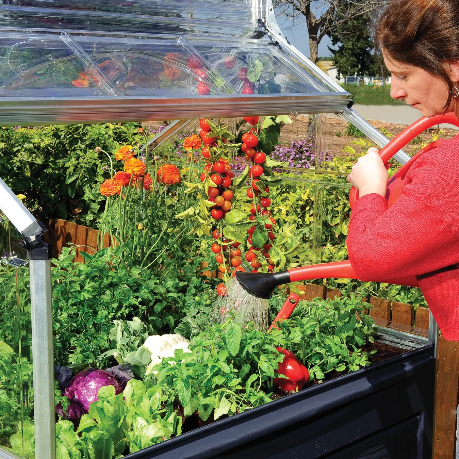 Maze Plant Inn Raised Garden Bed Planter with Mini Greenhouse - Image 5