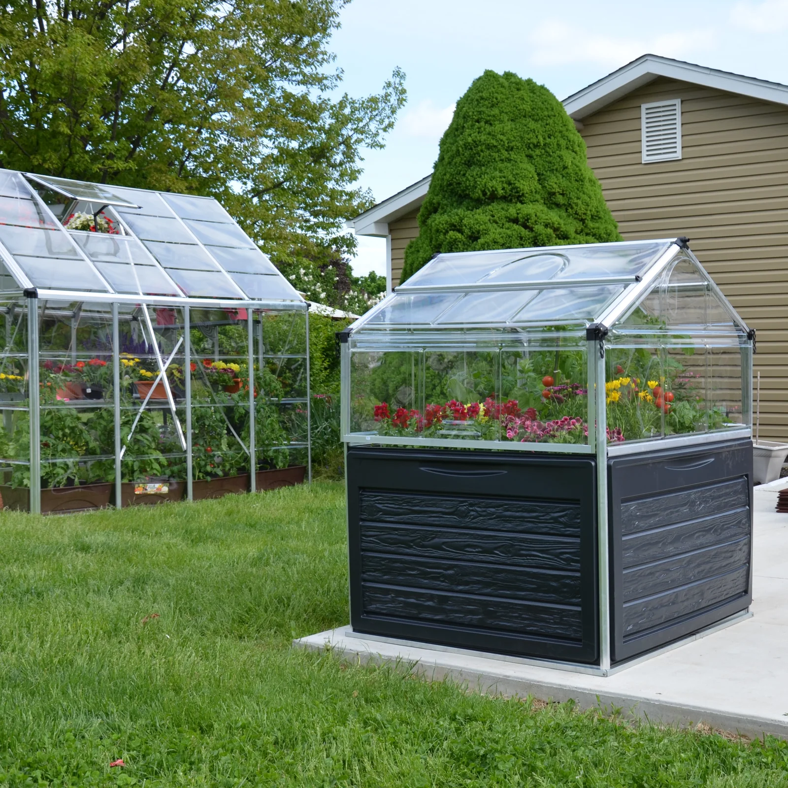 Maze Plant Inn Raised Garden Bed Planter with Mini Greenhouse - Image 6