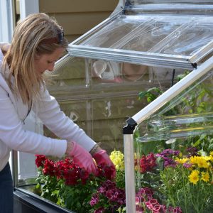 Maze Plant Inn Raised Garden Bed Planter with Mini Greenhouse - Image 9