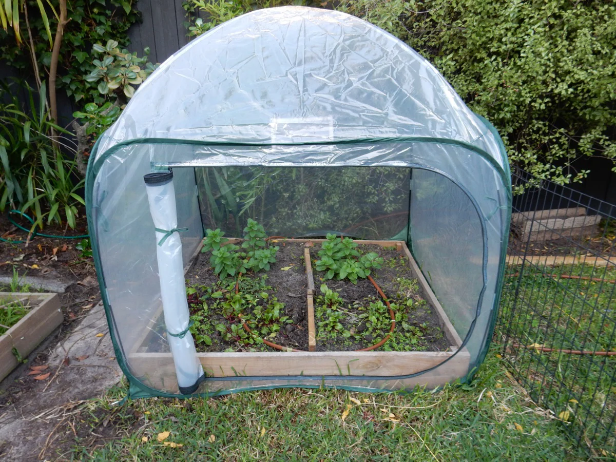 Maze Poly Greenhouse Pop Up Garden Cover - 1250L x 1250W x 1200H - Image 4