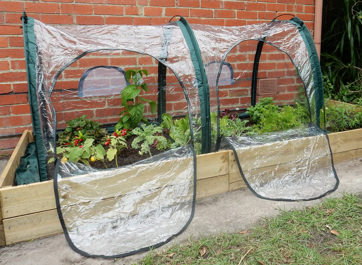 Maze Poly Greenhouse Tunnel - 2000L x 1000W x 1000H - Image 2