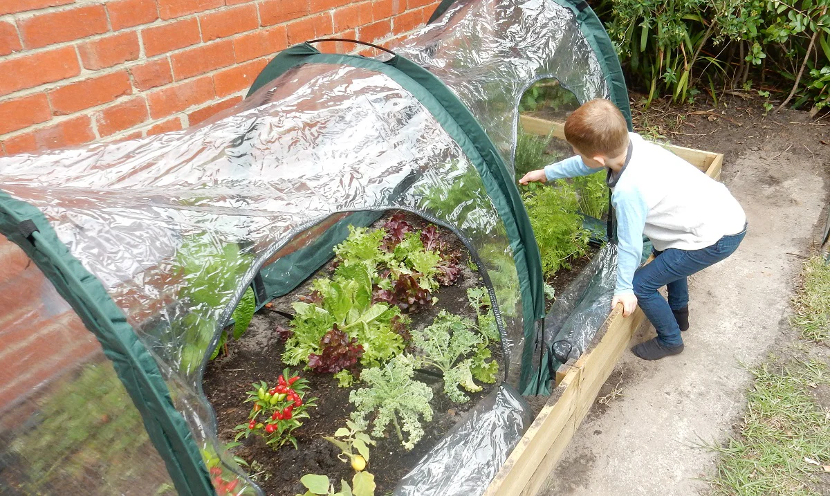 Maze Poly Greenhouse Tunnel - 2000L x 1000W x 1000H - Image 5