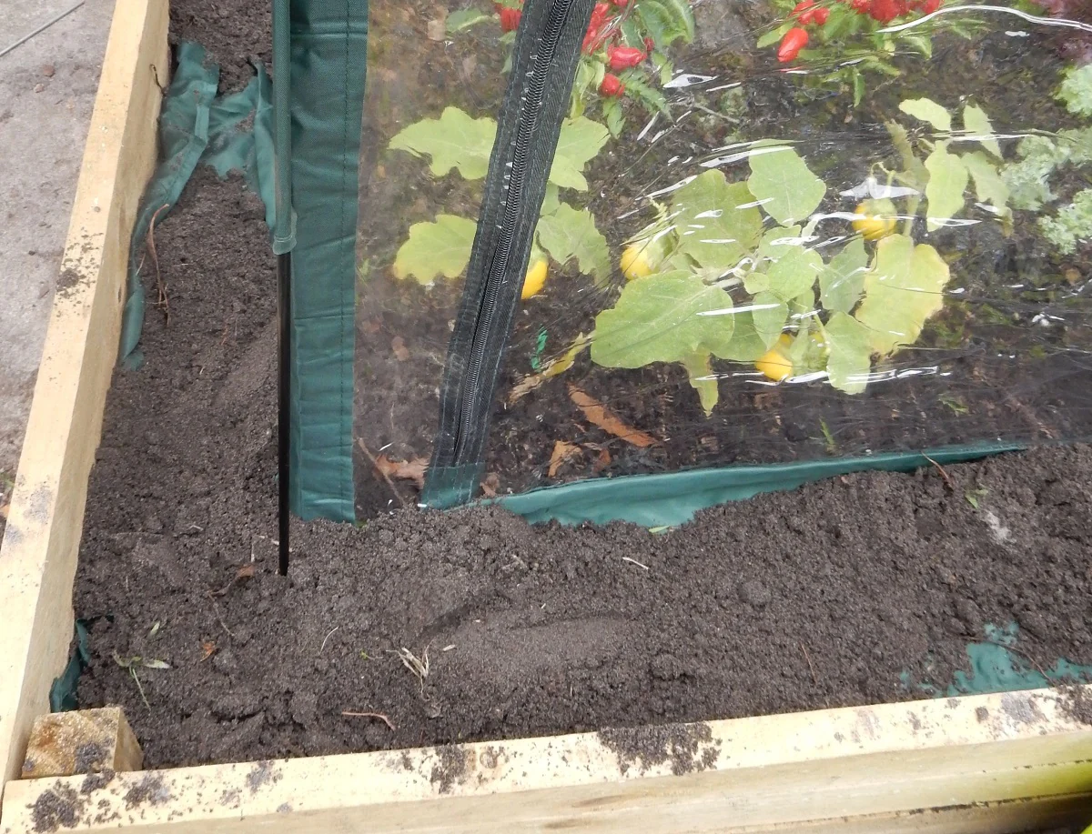 Maze Poly Greenhouse Tunnel - 3000L x 1000W x 1000H - Image 4