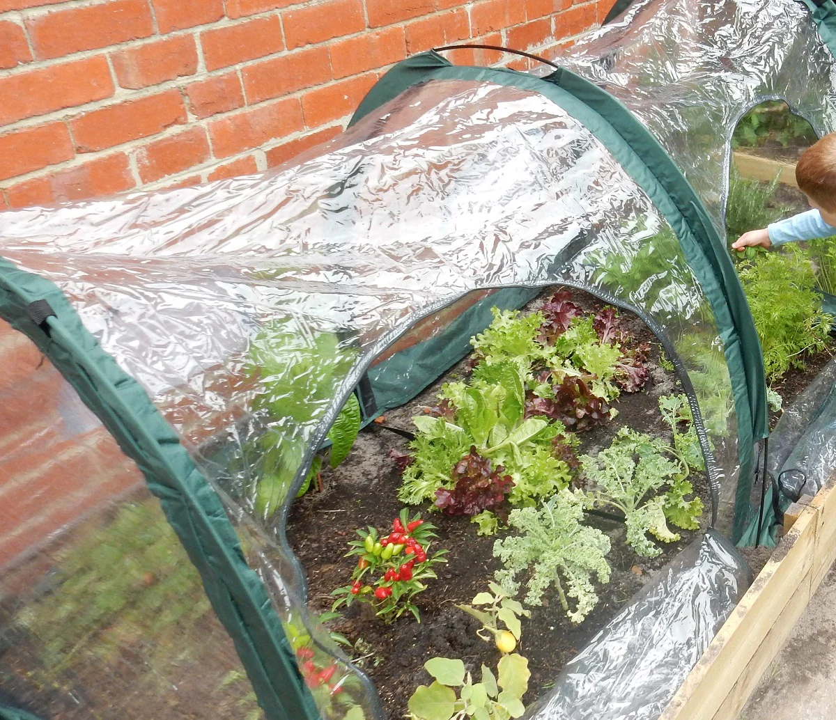 Maze Poly Greenhouse Tunnel - 3000L x 1000W x 1000H - Image 6
