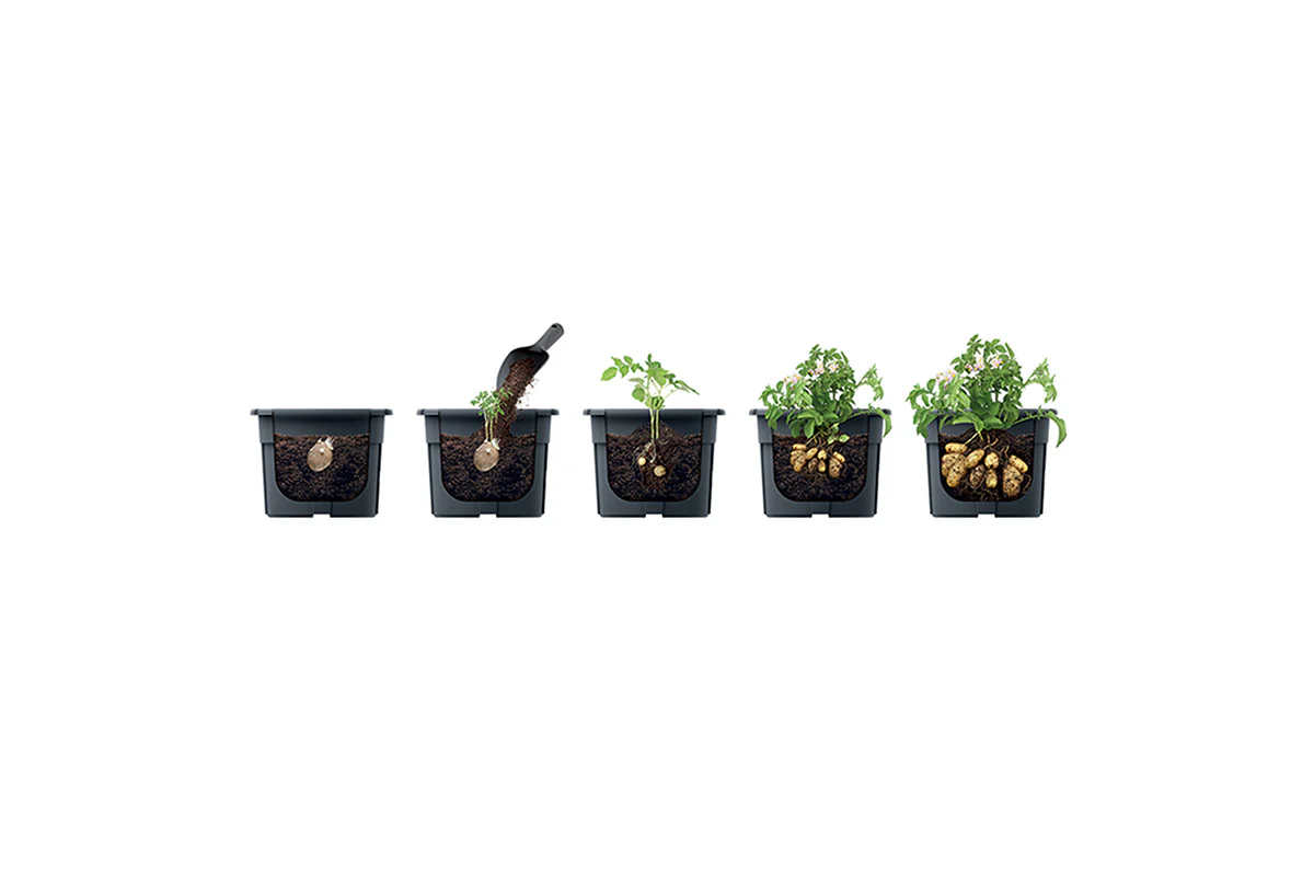 Maze Recycled Plastic Potato Grower Planter Pot 400mm - Anthracite - Image 3