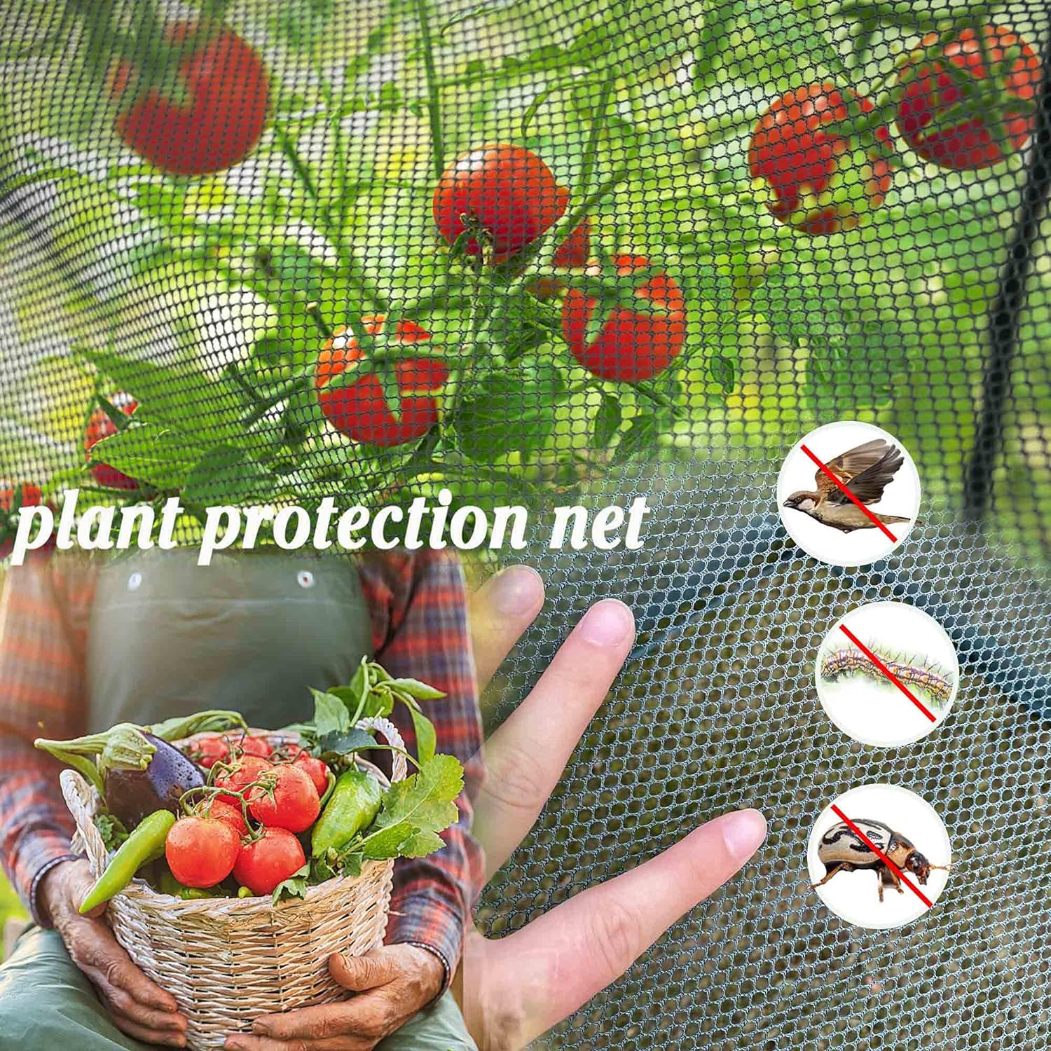 Maze Tall Netting Crop Protection Cage – 1.25m² X 1.8m High - Image 2