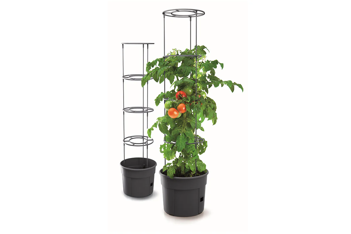 Maze Recycled Plastic Tomato Growing Planter Pot 300mm - Anthracite - Image 3