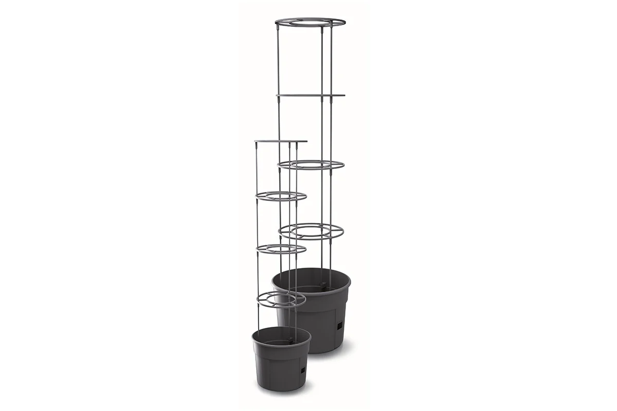 Maze Recycled Plastic Tomato Growing Planter Pot 300mm - Anthracite - Image 4