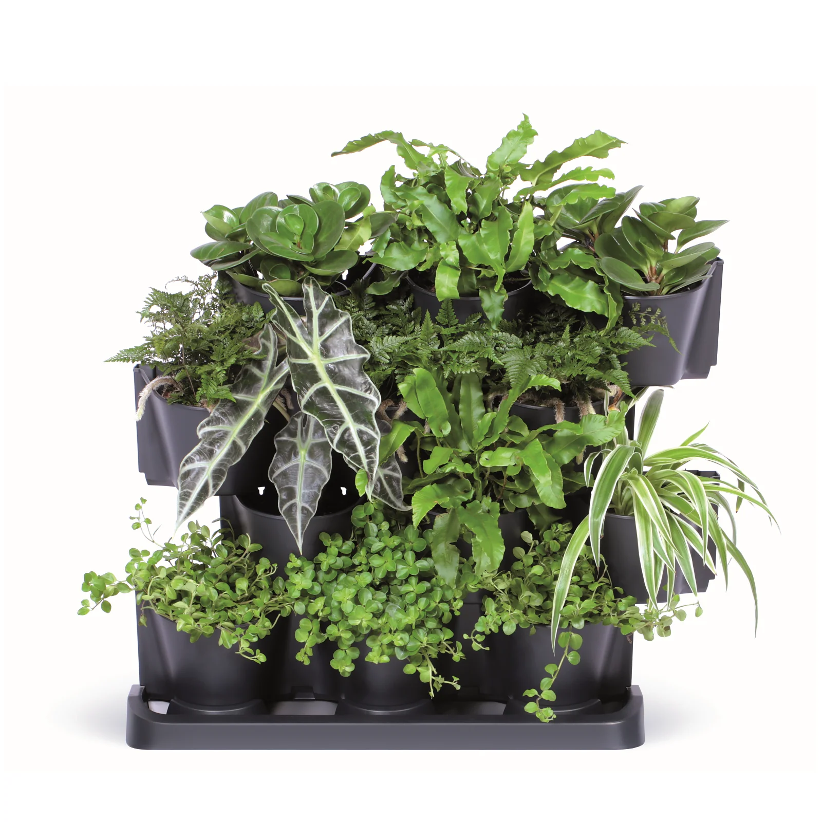 Maze Vertical Garden Cascade - Image 3