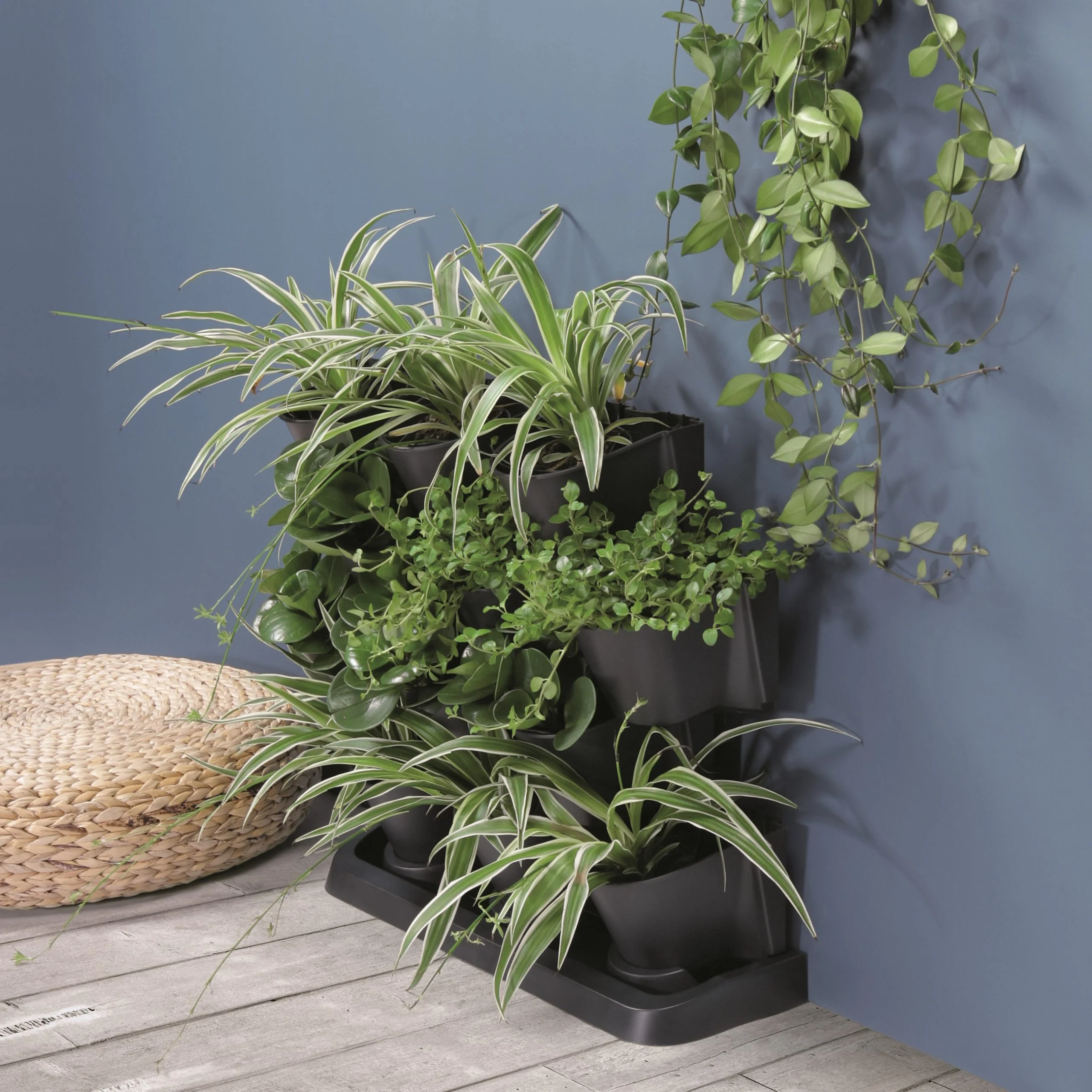 Maze Vertical Garden Cascade - Image 6