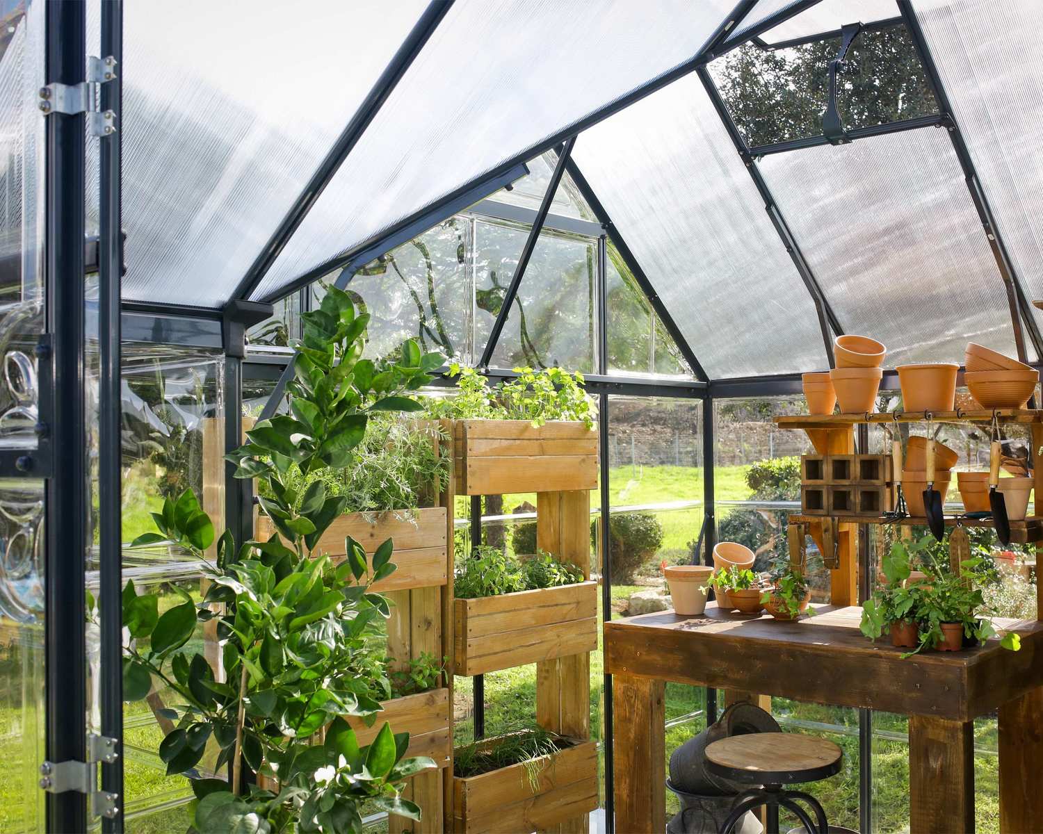 Maze Victory Premium Polycarbonate Greenhouse - Image 3