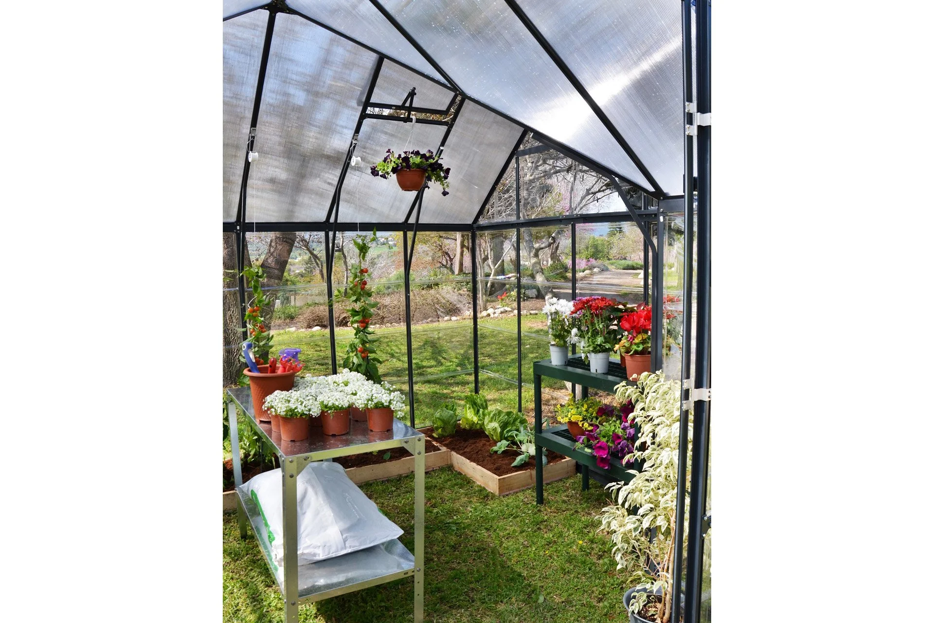 Maze Victory Premium Polycarbonate Greenhouse - Image 9