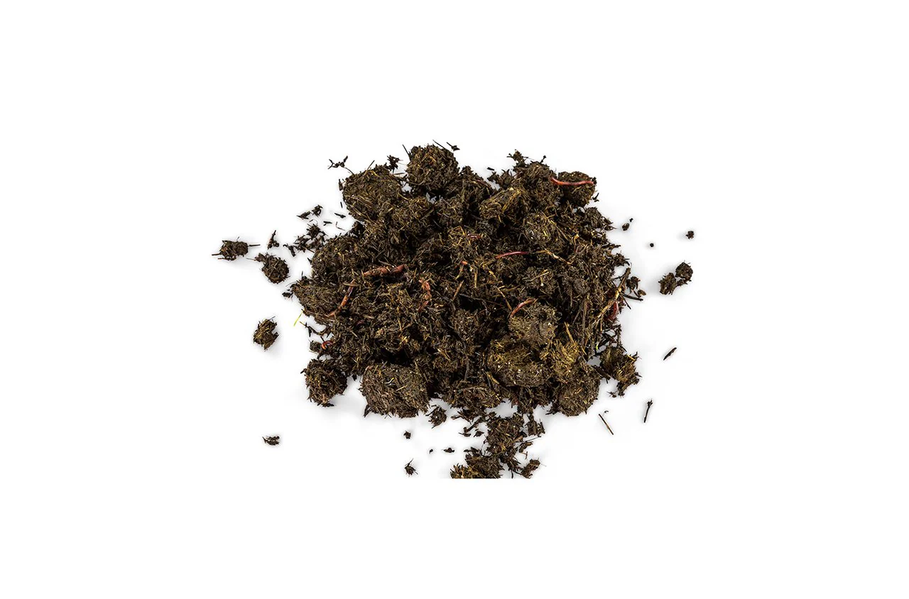 Maze Live Compost Worms Sent Direct - Approx. 2000 - Image 5
