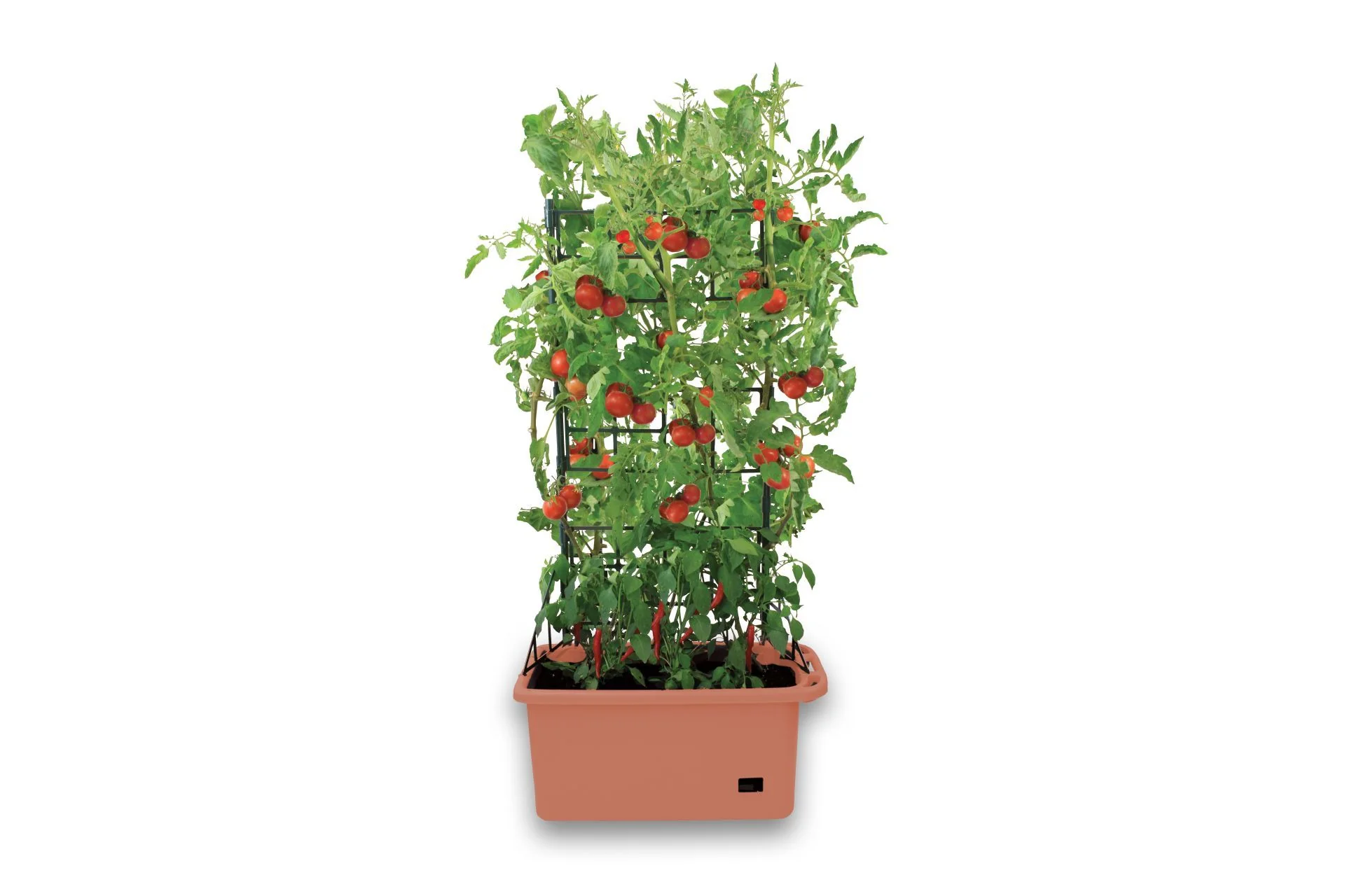 Greenlife Mobile Vege Patch with Self Watering Pot - Terracotta - Image 2