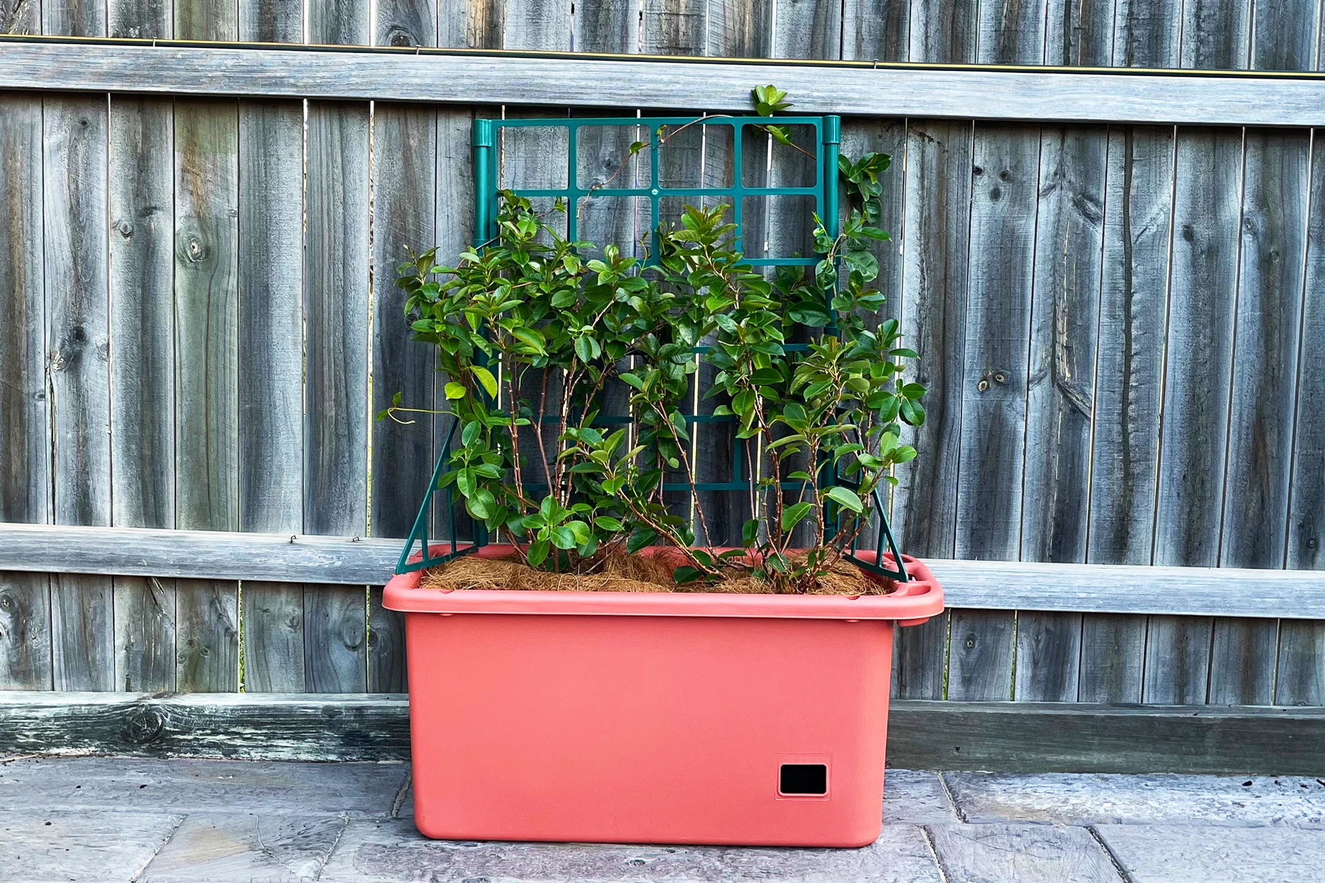 Greenlife Mobile Vege Patch with Self Watering Pot - Terracotta - Image 3