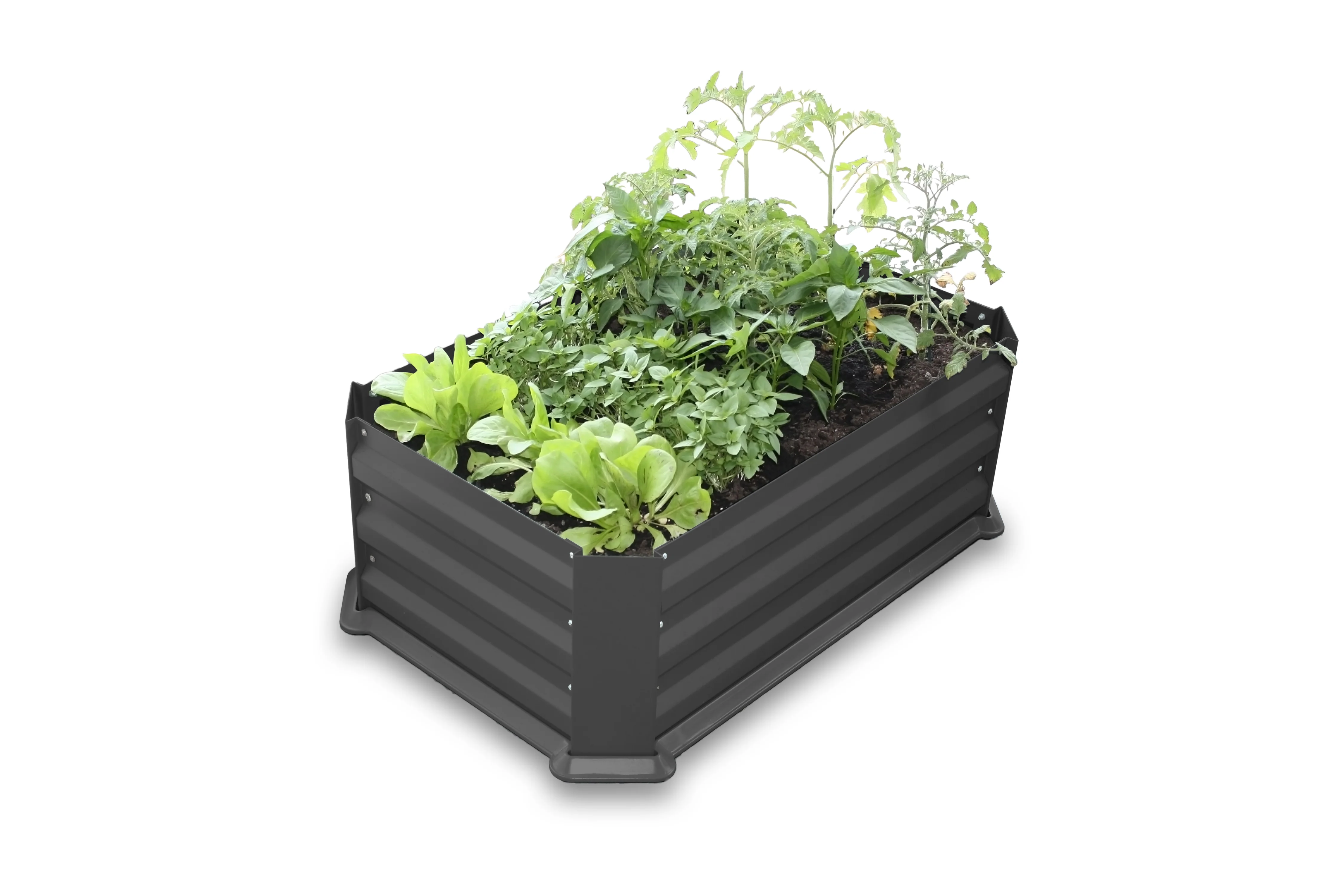 Greenlife Patio Garden Bed with Base Charcoal + Drop Over Greenhouse 880 x 580 x 820 - Image 4