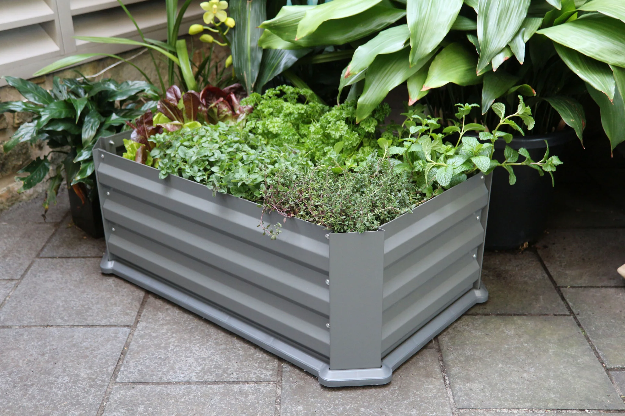 Greenlife Patio Garden Bed with Base Slate Grey + Drop Over Greenhouse 880 x 580 x 820 - Image 4