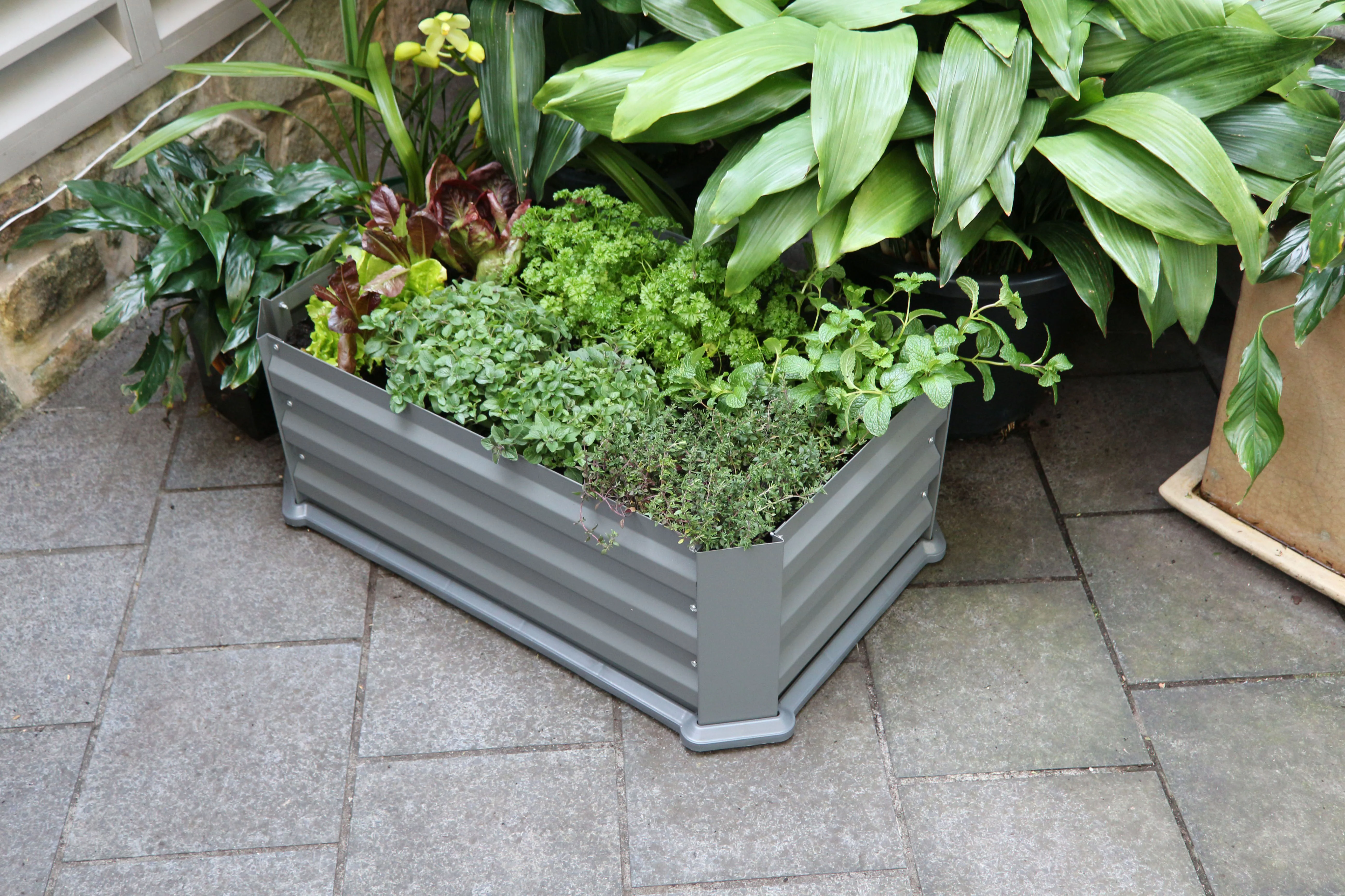 Greenlife Patio Garden Bed with Base Slate Grey + Drop Over Greenhouse 880 x 580 x 820 - Image 8