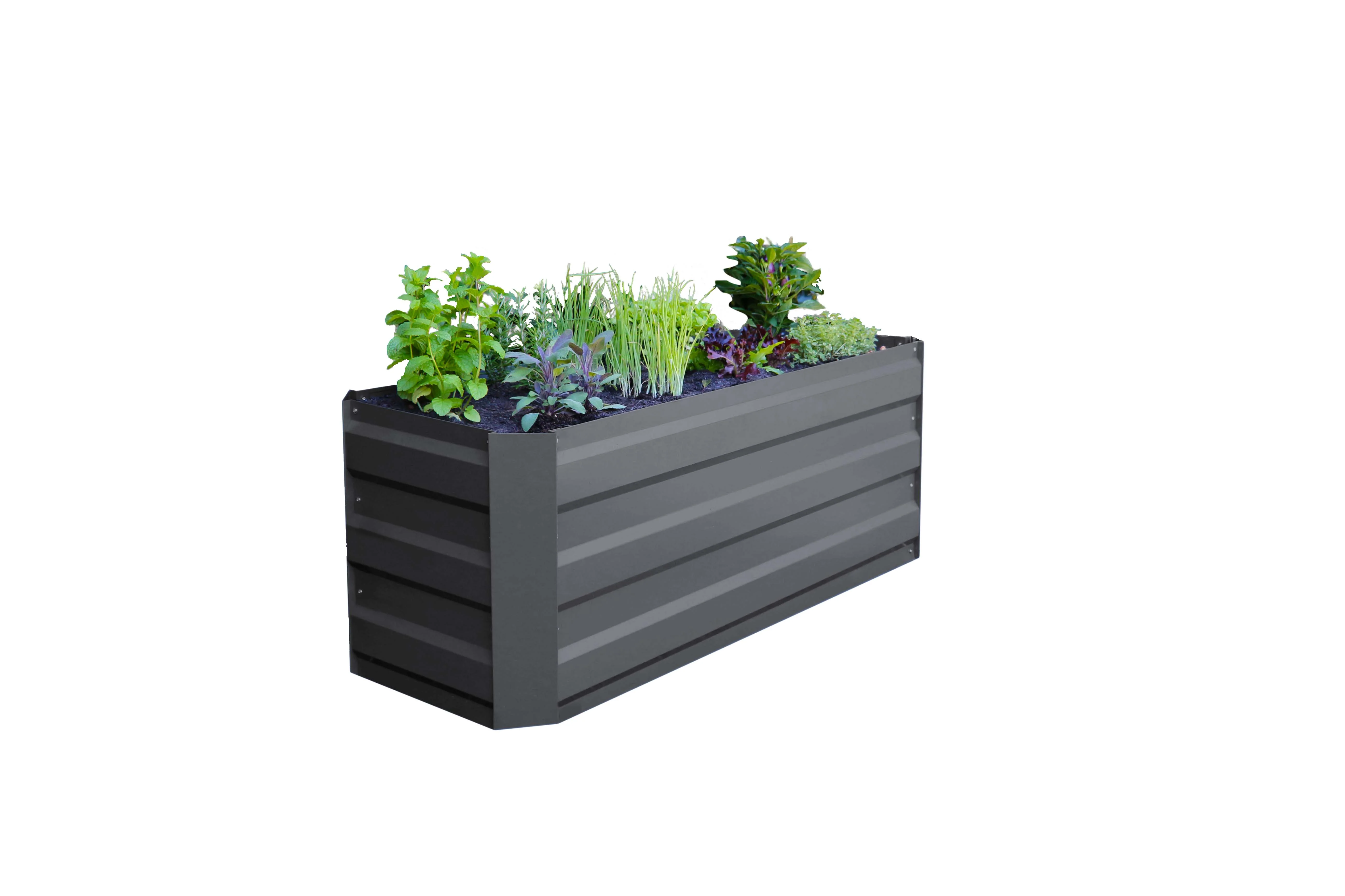 Greenlife Slimline Garden Bed Charcoal + Drop Over PE Greenhouse 1250 x 500 x 990 - Image 2