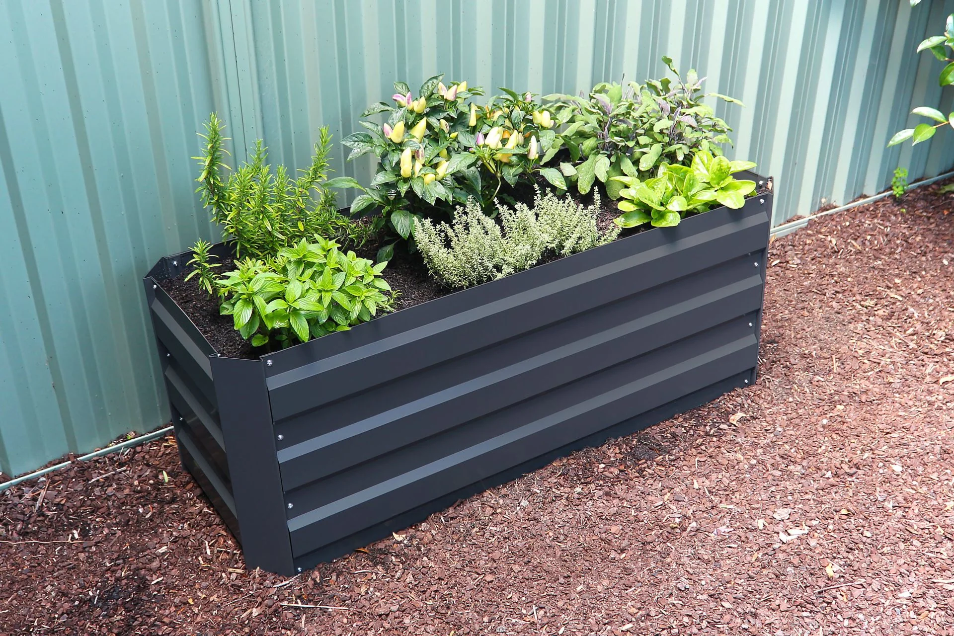 Greenlife Slimline Garden Bed Charcoal + Drop Over PE Greenhouse 1250 x 500 x 990 - Image 4