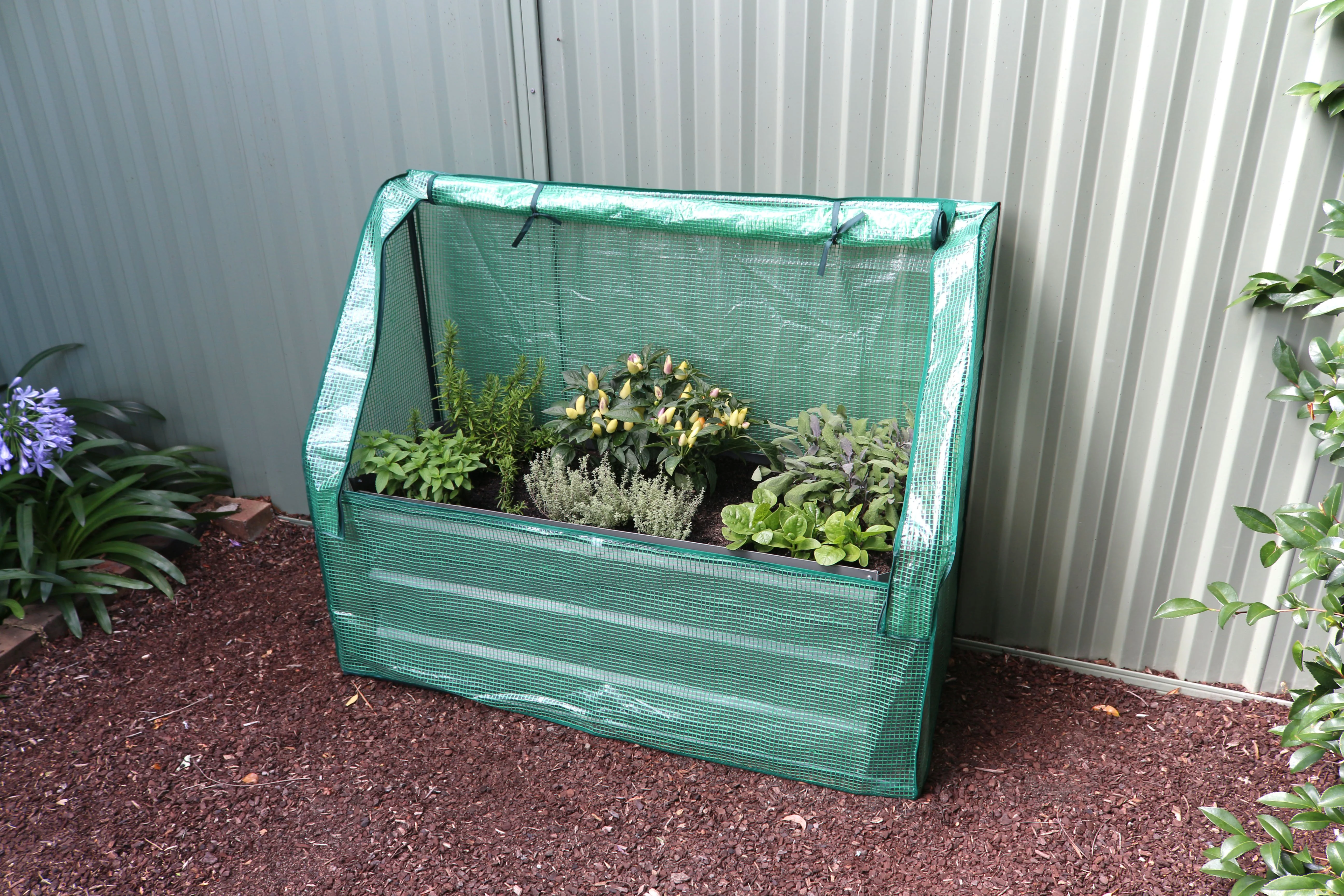 Greenlife Slimline Garden Bed Charcoal + Drop Over PE Greenhouse 1250 x 500 x 990 - Image 5