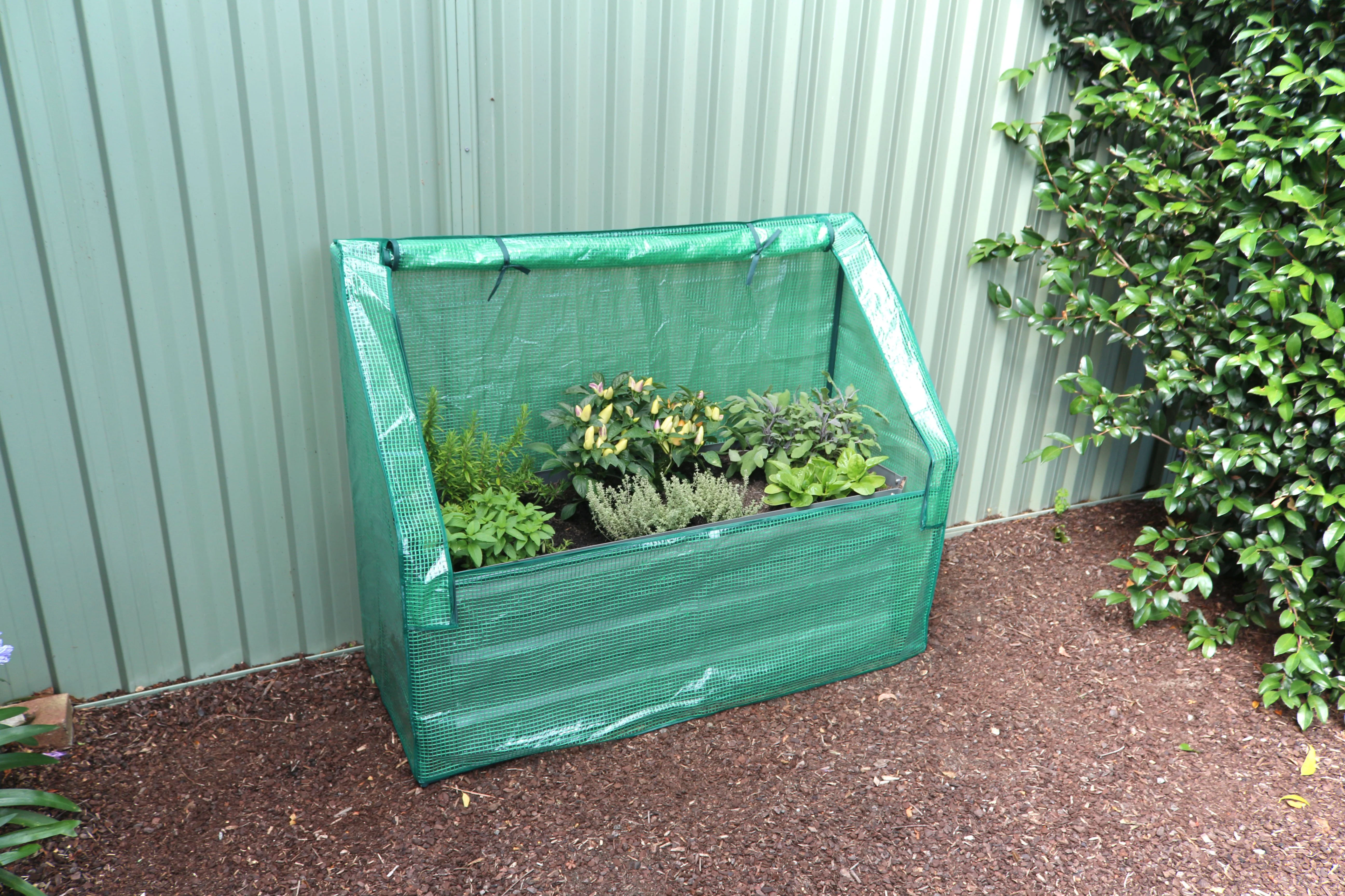 Greenlife Slimline Garden Bed Eucalypt Green + Drop Over PE Greenhouse 1250 x 500 x 990 - Image 5