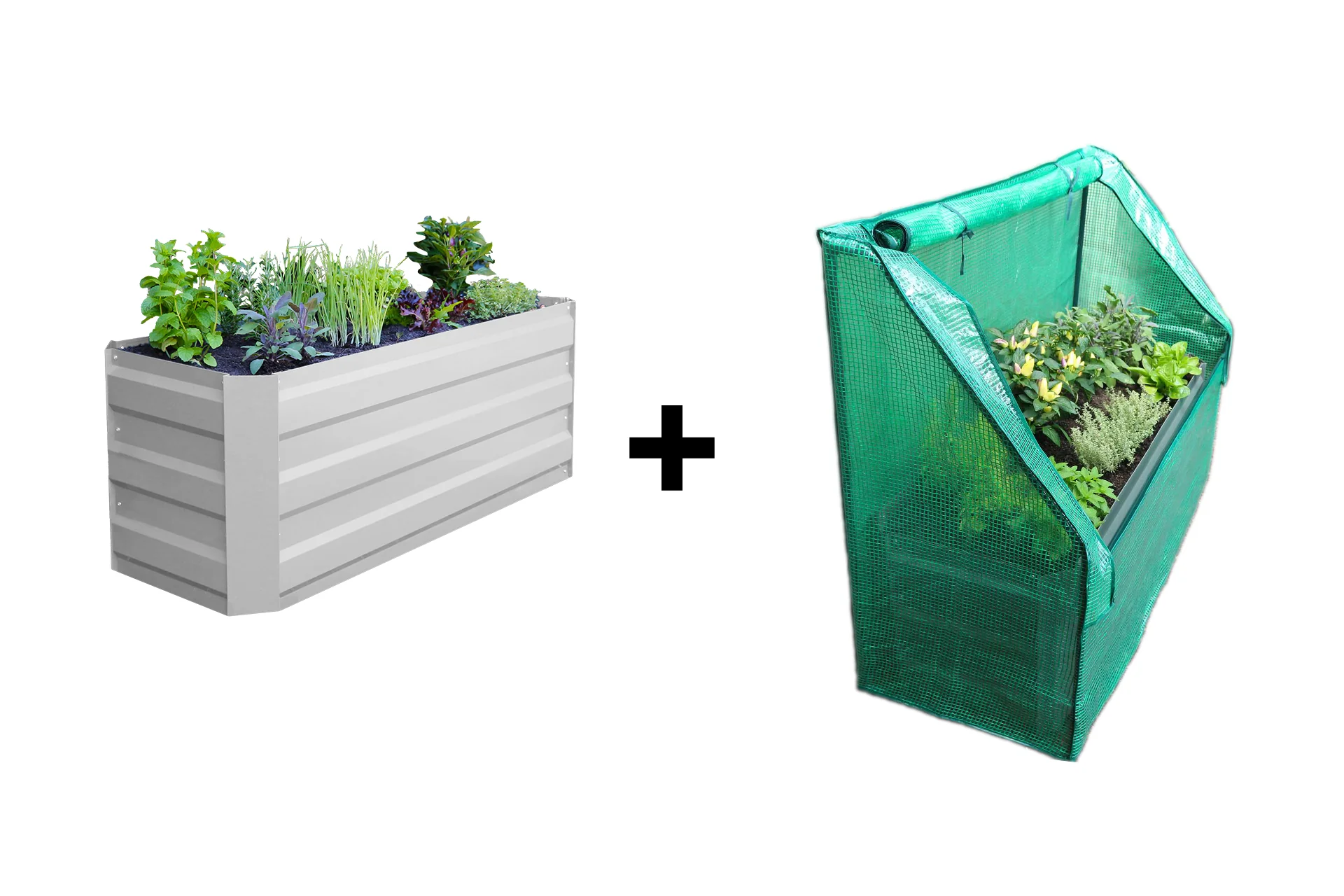 Greenlife Slimline Garden Bed Vintage White + Drop Over PE Greenhouse 1250 x 500 x 990