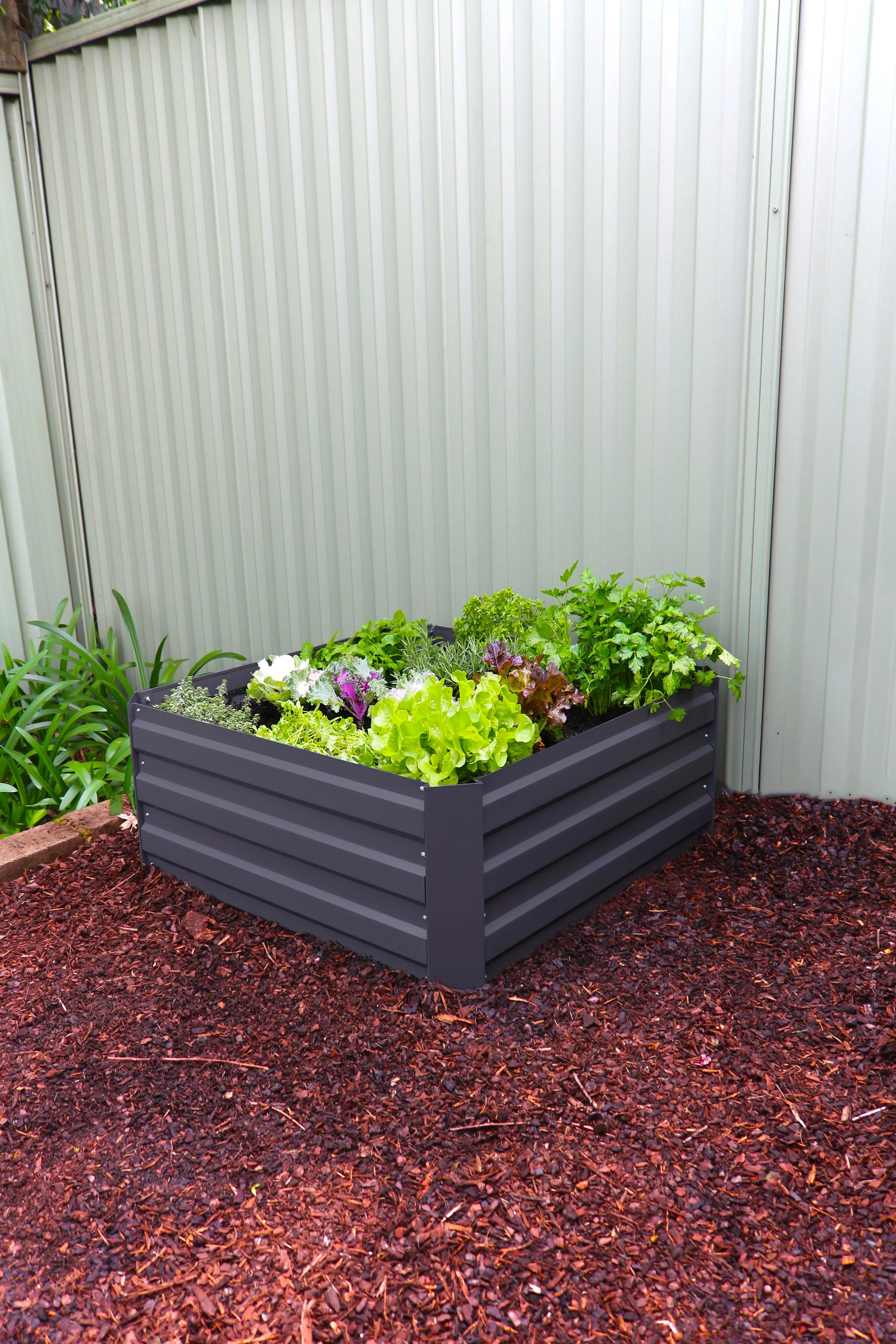 Greenlife Square Garden Bed + Drop Over PE Greenhouse 900 x 900 x 1020 - Image 5