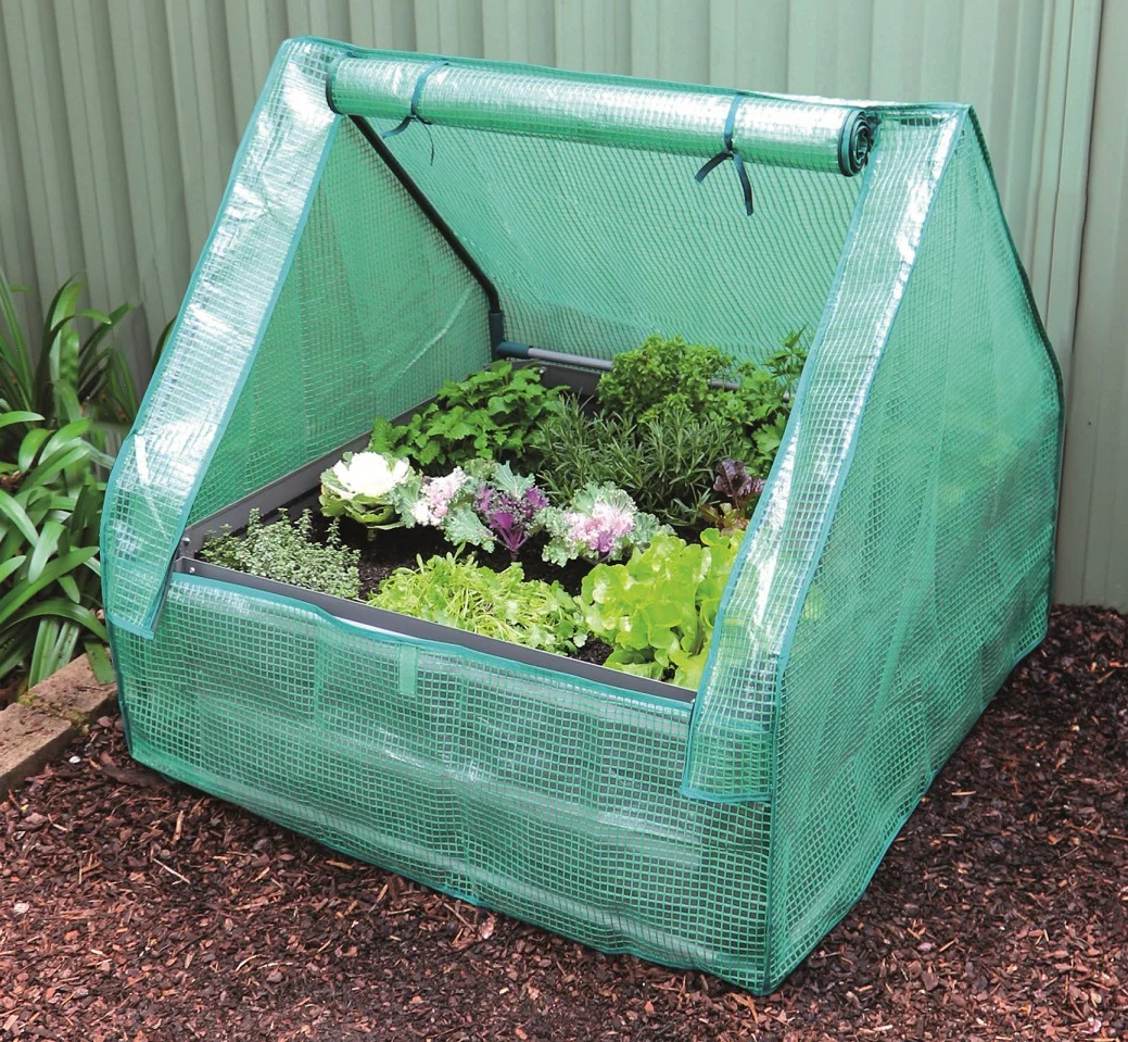 Greenlife Square Garden Slate Grey + Drop Over PE Greenhouse 900 x 900 x 1020 - Image 3