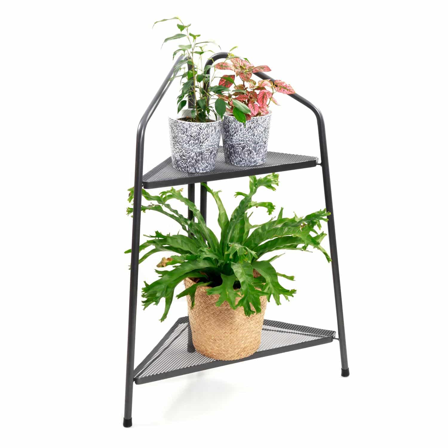 Takasho Modern Corner Metal Plant Stand 2 Shelf - Black - Image 2