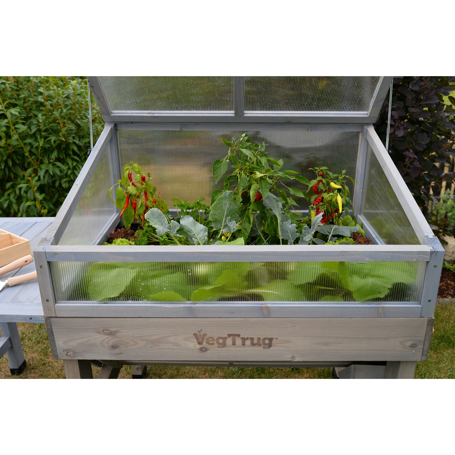 VegTrug Cold Frame for Small 1m Classic Wooden Raised Planter - Grey Wash - Image 6