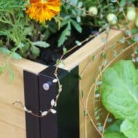 VegTrug Large Raised Garden Bed Grow Kit with Cover - Natural - Image 18