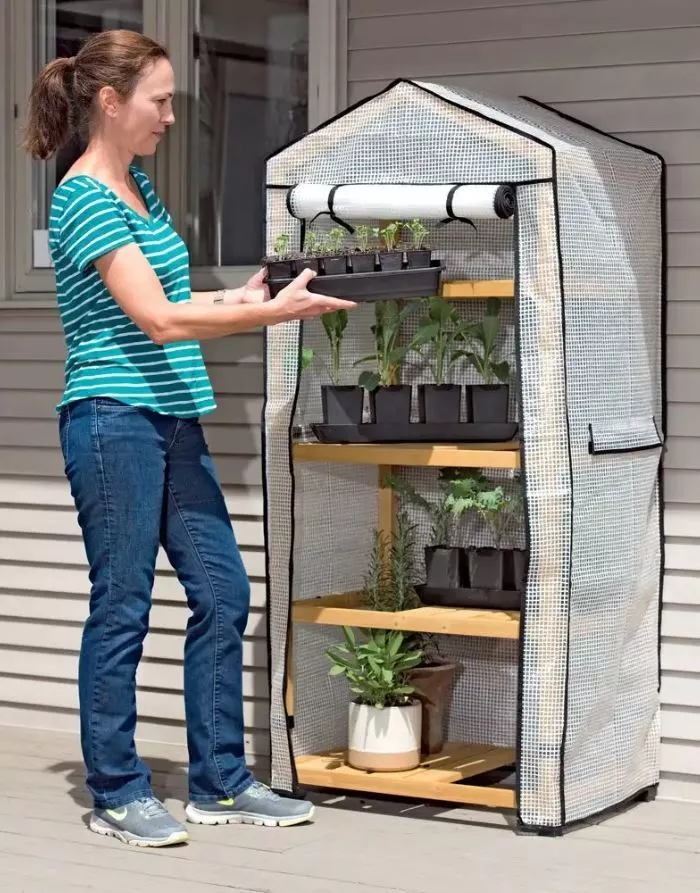 VegTrug Plant Nursery Greenhouse 1575 x 708 x 490mm Natural - Image 4
