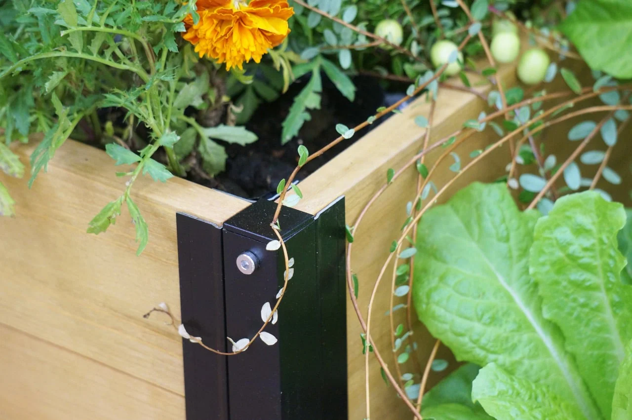 VegTrug Small Raised Garden Bed Grow Kit with Cover - Natural - Image 17
