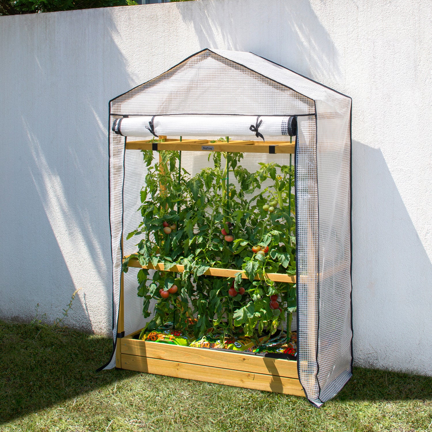 VegTrug Timber Tomato Plant Nursery with PE Greenhouse - Natural - Image 3