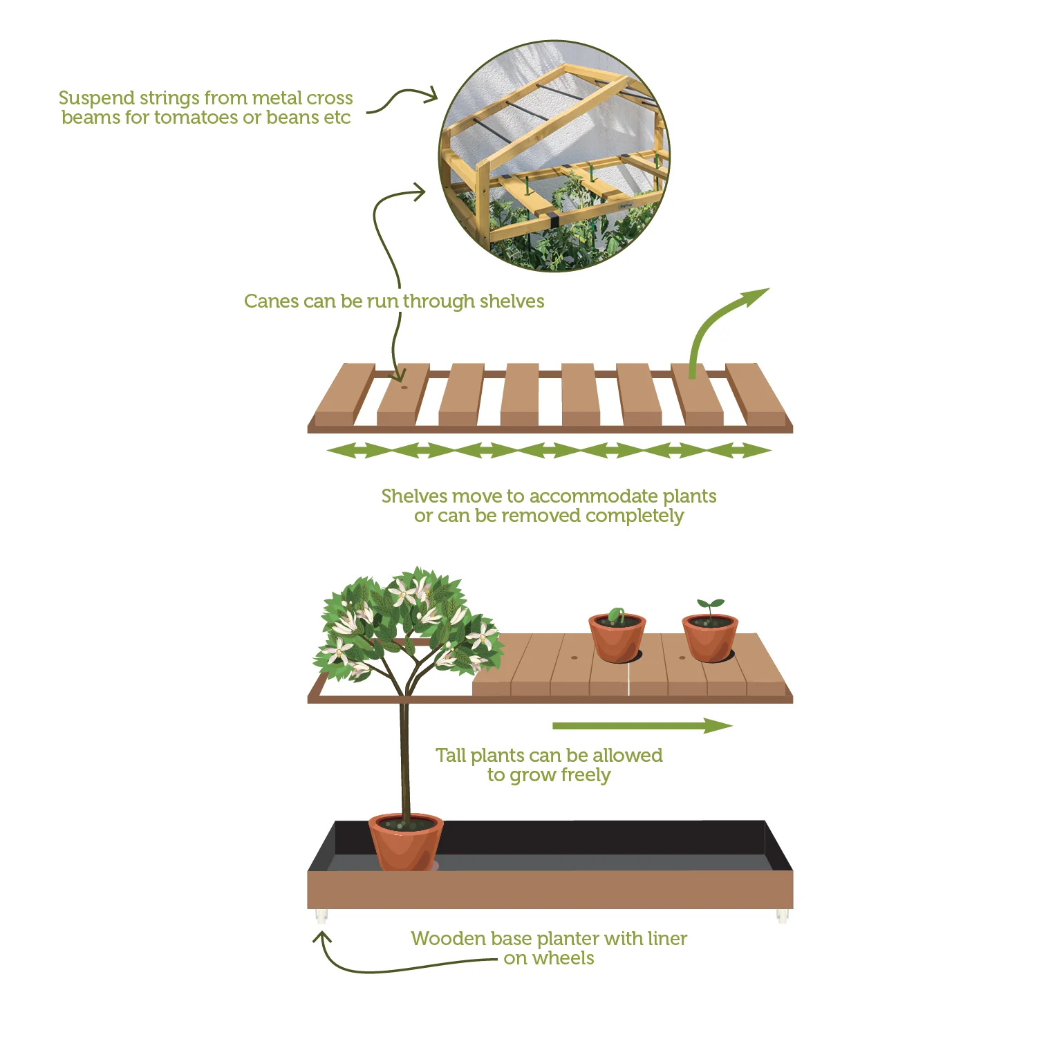 VegTrug Timber Tomato Plant Nursery with PE Greenhouse - Natural - Image 5