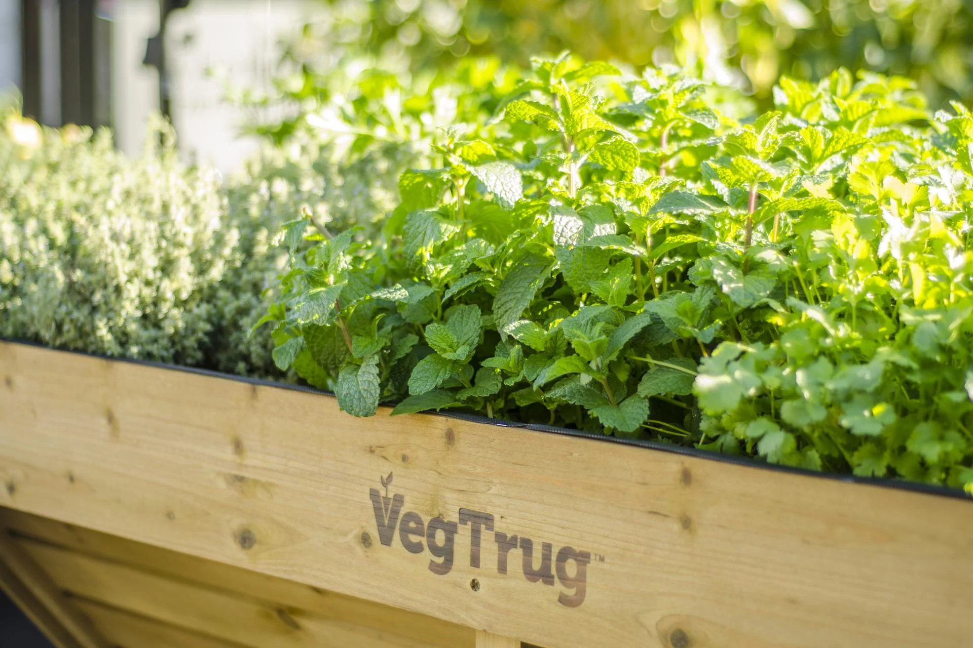 VegTrug Wooden Raised Planter Small - Natural - Image 3