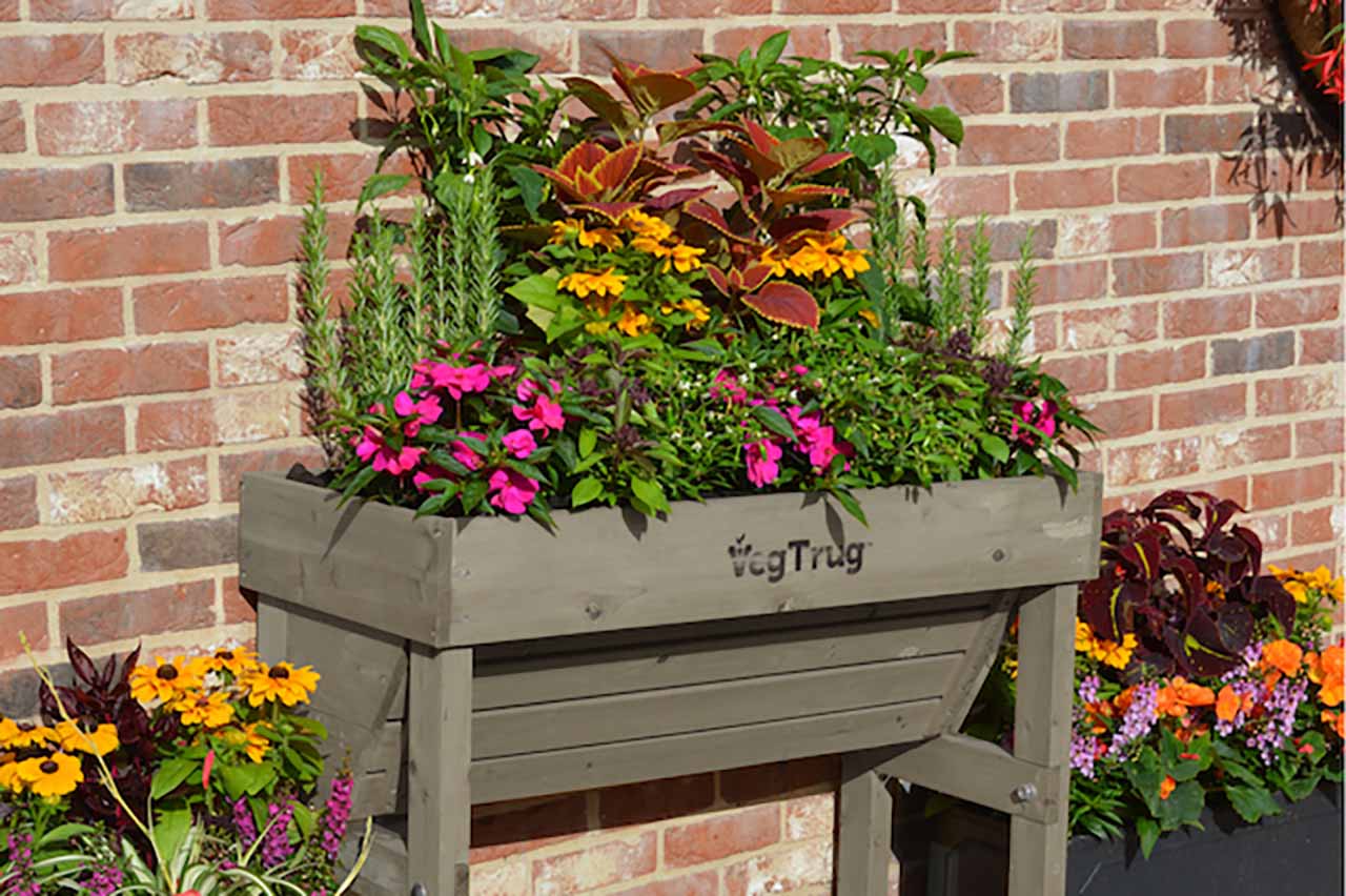 VegTrug Wooden Raised Planter Small Wallhugger - Grey Wash - Image 3