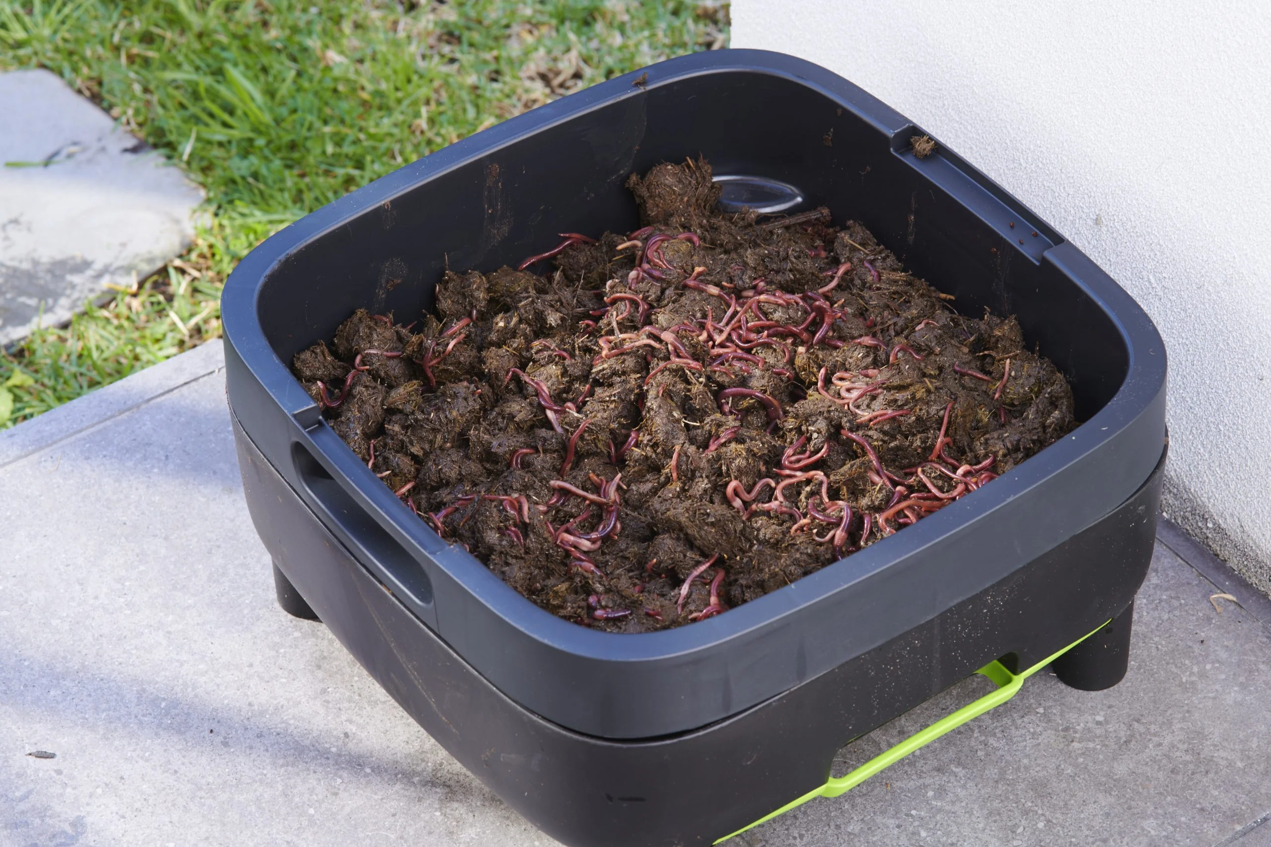 Maze Compact Worm Farm Australian Made with Plastic Legs and 1000 Worms - Image 6